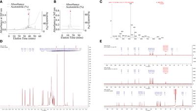 Anticarin β Inhibits Human Glioma Progression by Suppressing Cancer Stemness via STAT3